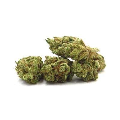 Hammerhead Cannabis Strain UK