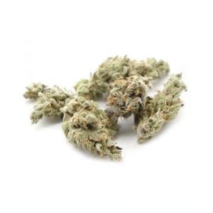 GM-UhOh Cannabis Souche Royaume-Uni