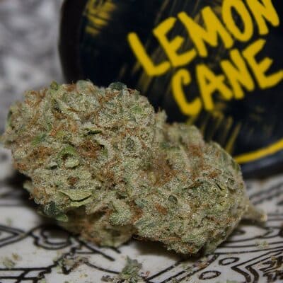 Lemon Cane Marijuana Weed UK