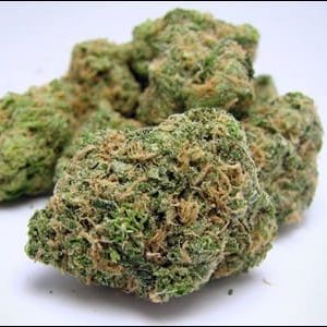Spec Ops Cannabis UK