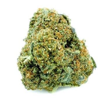 Golden Kush Delta 8 Cannabis UK